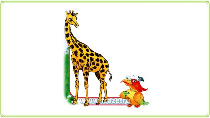 Жираф большой, ему видней — решает тот, кто занимает более высокий пост, хотя речь скорее не о том, кто выше ростом, а о свободе выбора.
