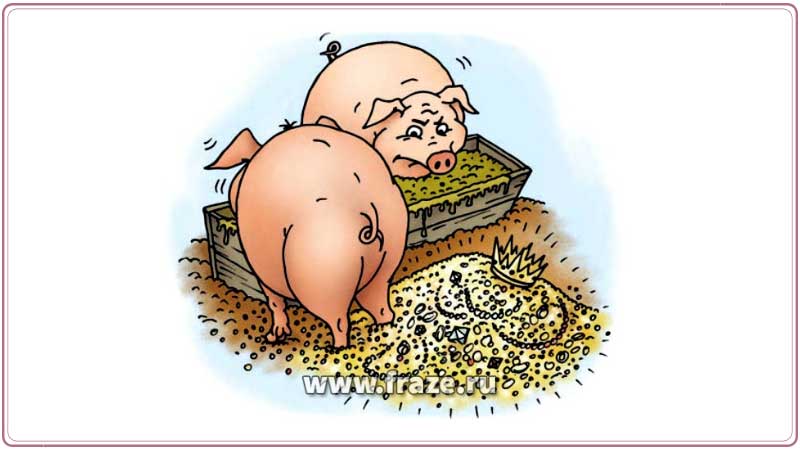 Метать бисер перед свиньями — напрасно разъяснять, доказывать тому, кто не понимает.