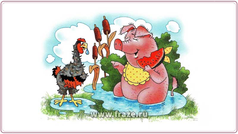 Мокрая курица — имеющий жалкий вид, подавленный человек или безвольный, бесхарактерный человек.